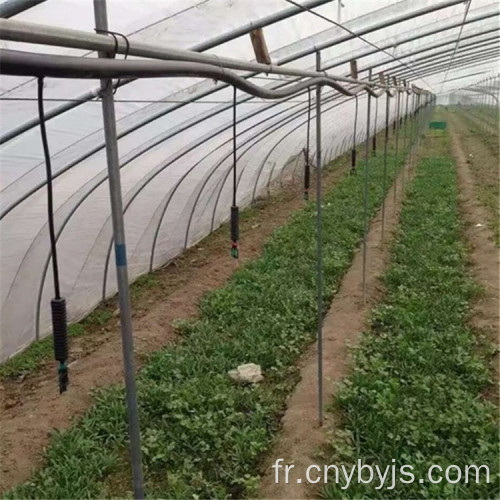 Arroseur à l&#39;envers à la fraise